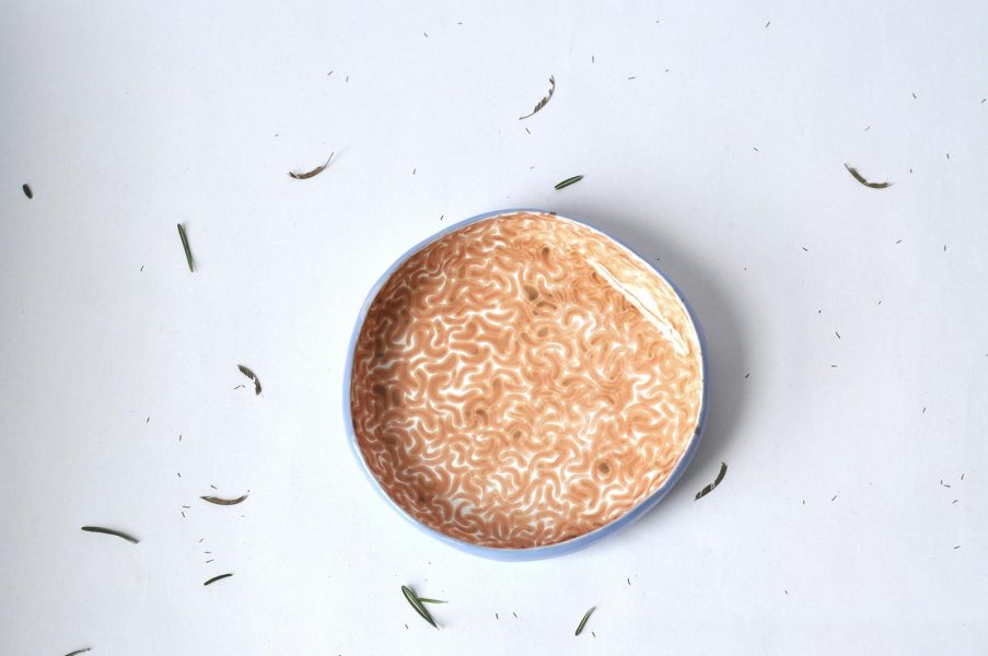 Deep dishes - the collection ``Dejavu``